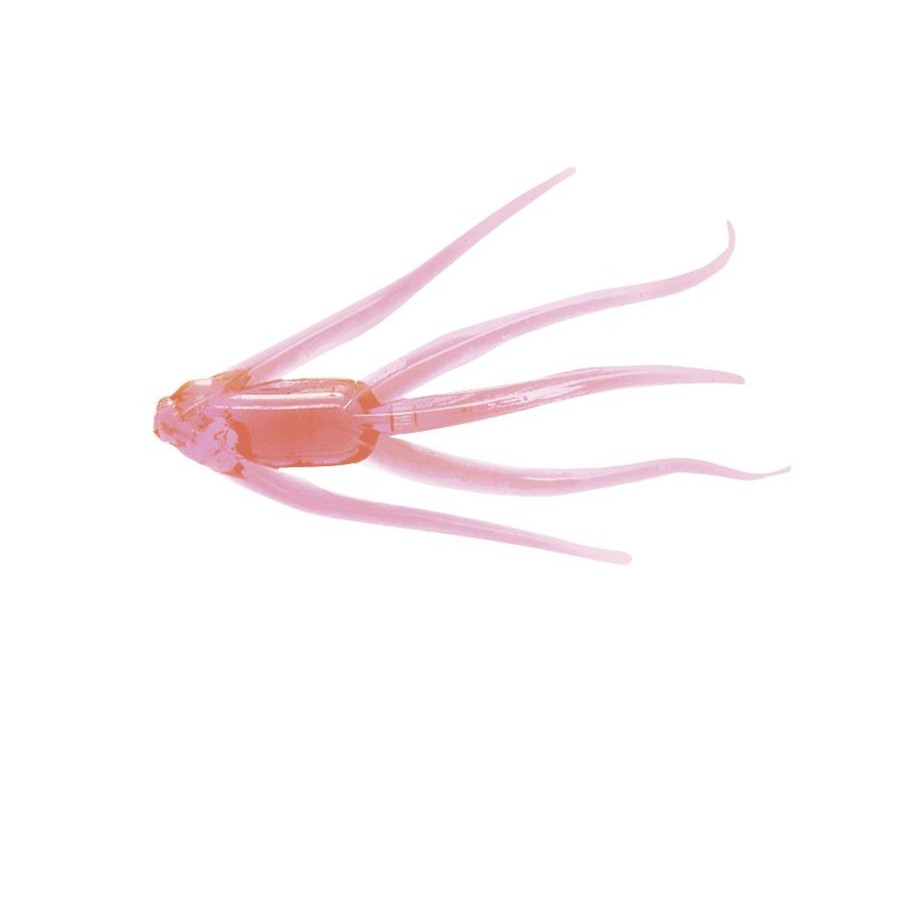 Gift Guides Clam Outdoors | Maki